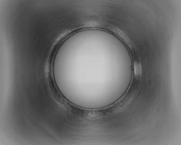 X0000111790579200907231145