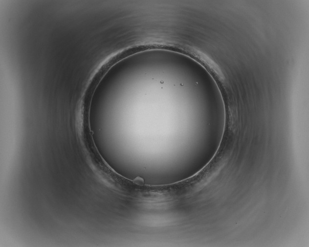 X0000111790580200907231145