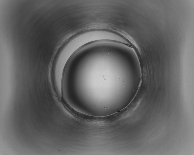 X0000111790581200907231145