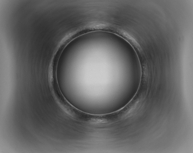 X0000111790582200907231145