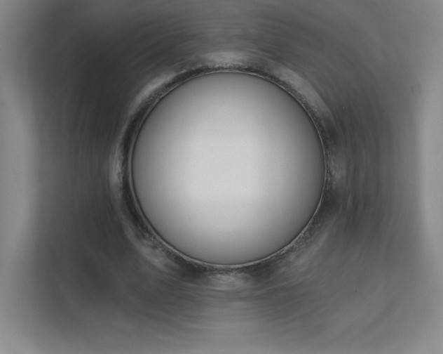 X0000111790583200907231145