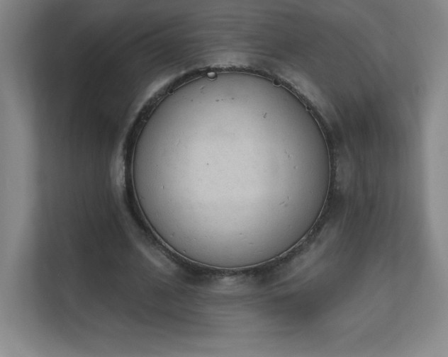 X0000111790584200907231145