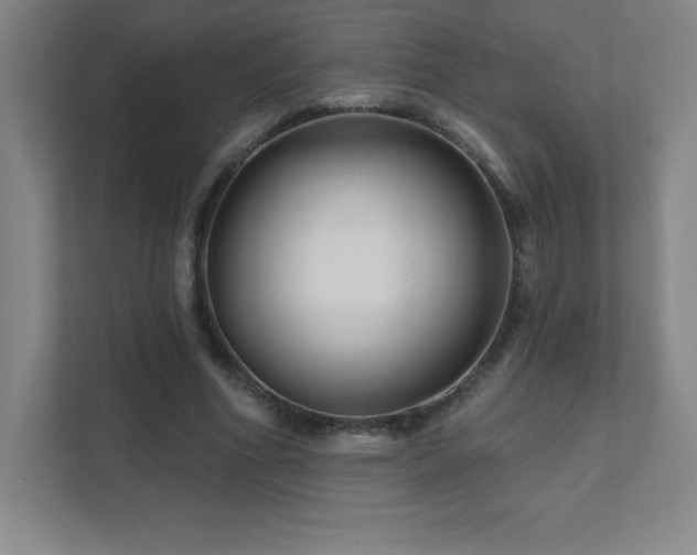 X0000111790586200907231145