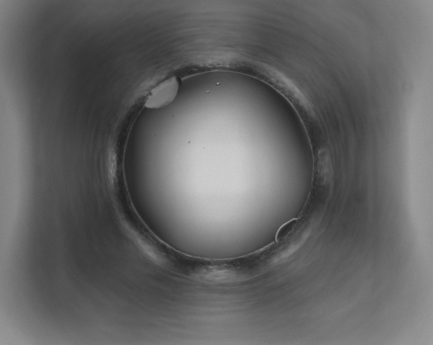 X0000111790589200907231145