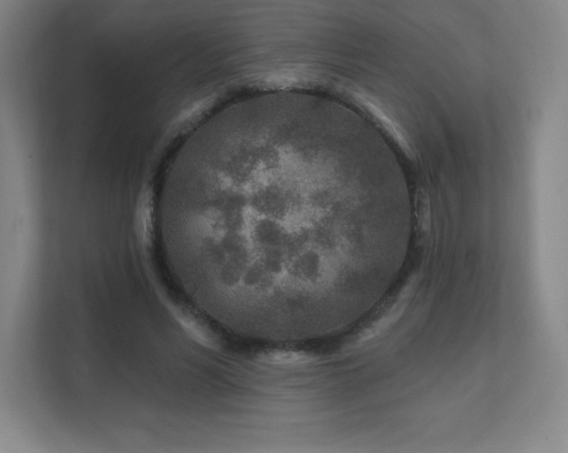 X0000111790590200907231145