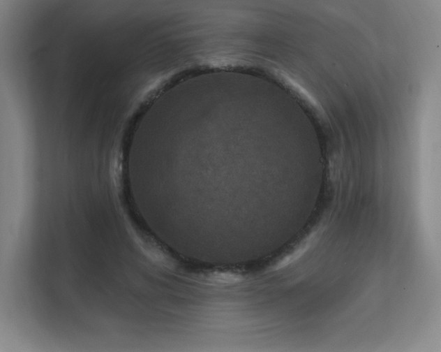 X0000111790592200907231145