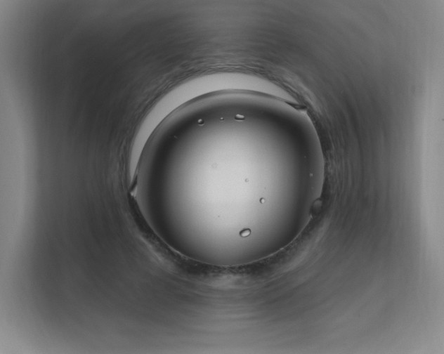 X0000111790593200907231145