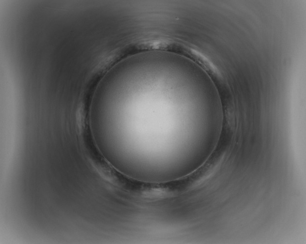 X0000111790594200907231144