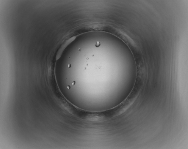 X0000111790597200907231144