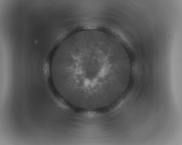 X0000111790598200907231144