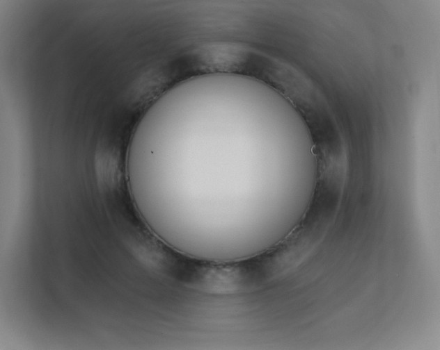 X0000111790599200907231144