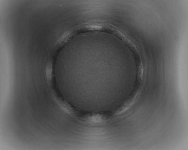 X0000111790600200907231144