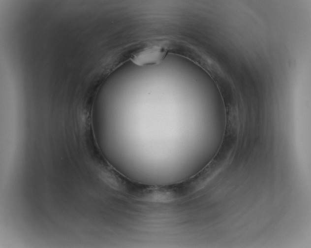 X0000111790601200907231144