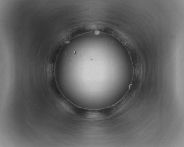 X0000111790605200907231144