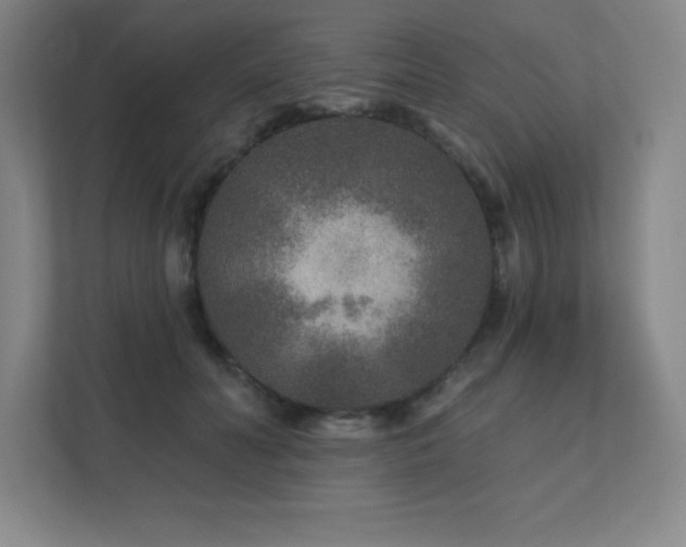 X0000111790606200907231144