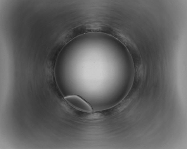 X0000111790609200907231144