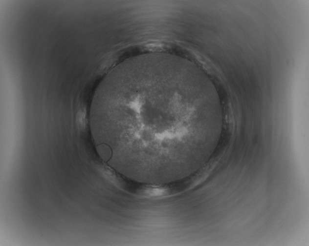 X0000111790610200907231144