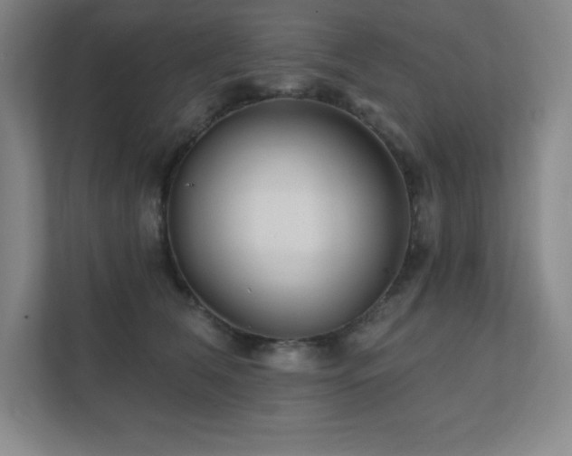 X0000111790612200907231144