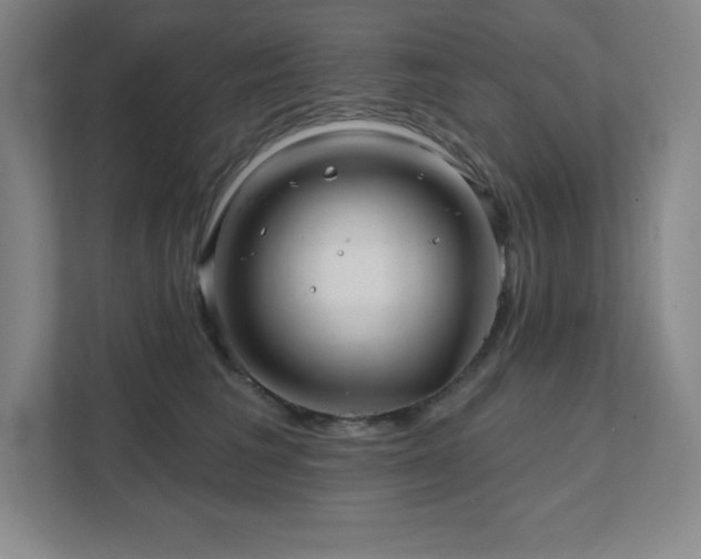 X0000111790613200907231144