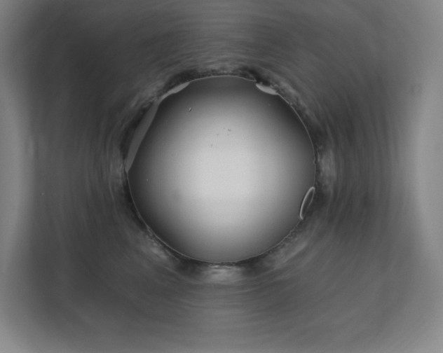 X0000111790617200907231144