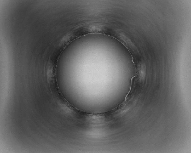 X0000111790619200907231144