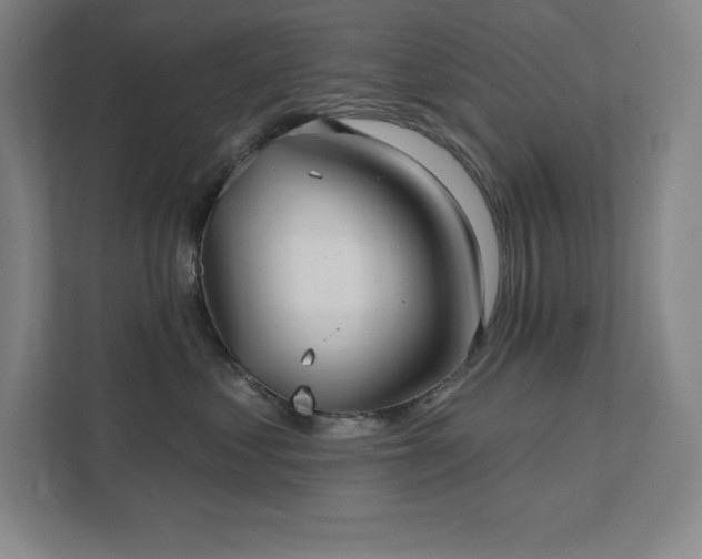 X0000111790621200907231144