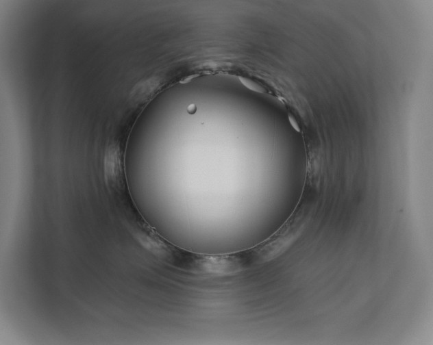 X0000111790623200907231144