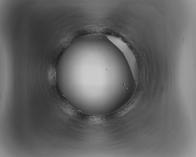 X0000111790624200907231144