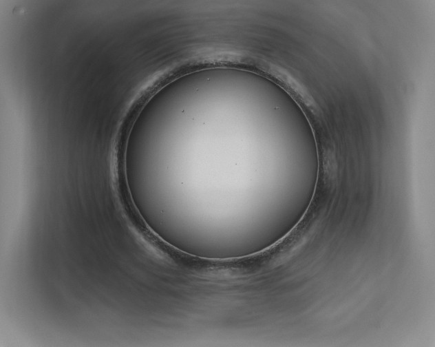 X0000111790629200907231143