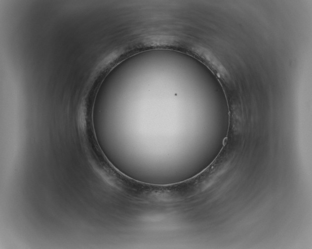 X0000111790631200907231143