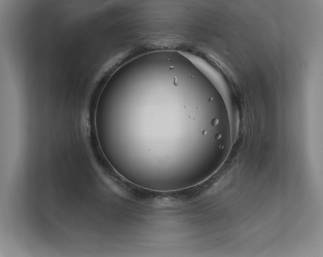 X0000111790634200907231143