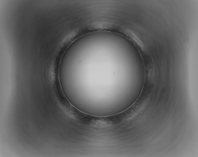 X0000111790635200907231143