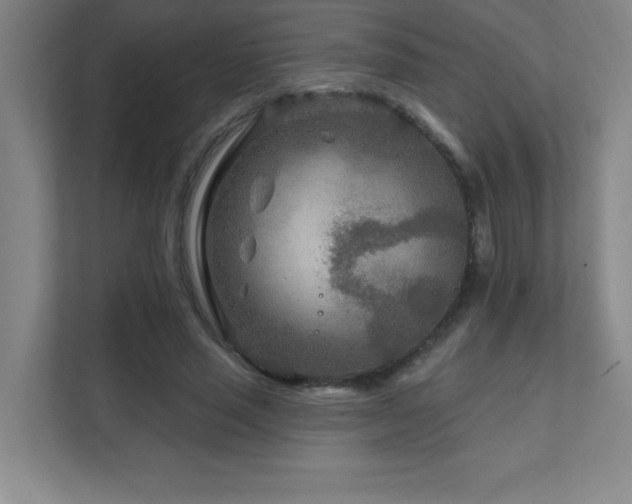 X0000111790637200907231143