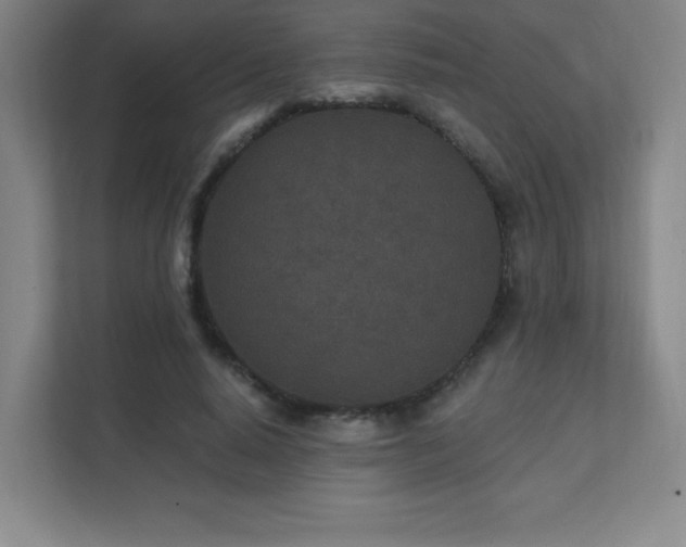 X0000111790640200907231143