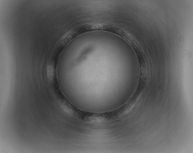 X0000111790648200907231144