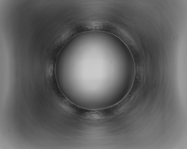 X0000111790652200907231144