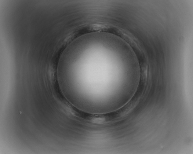 X0000111790653200907231144