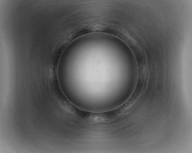 X0000111790655200907231144