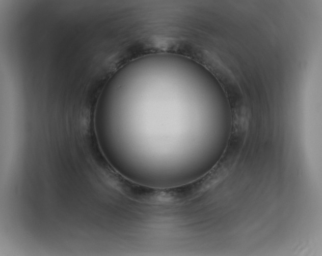 X0000111790656200907231144