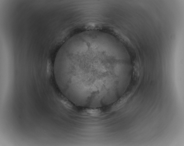 X0000111790659200907231144