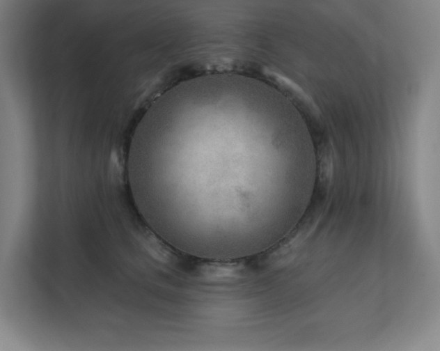 X0000111790661200907231144