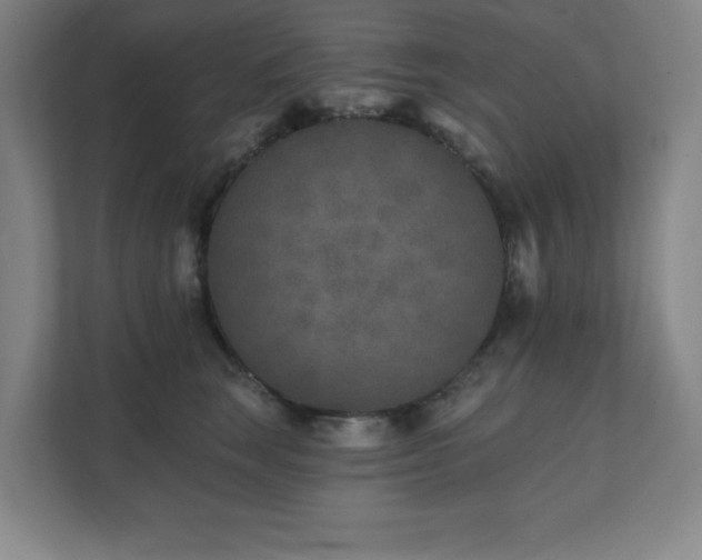 X0000111790663200907231144