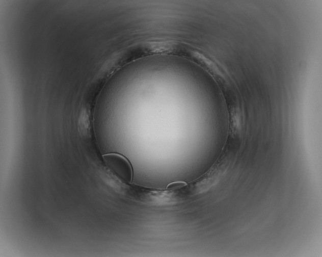 X0000111790667200907231144