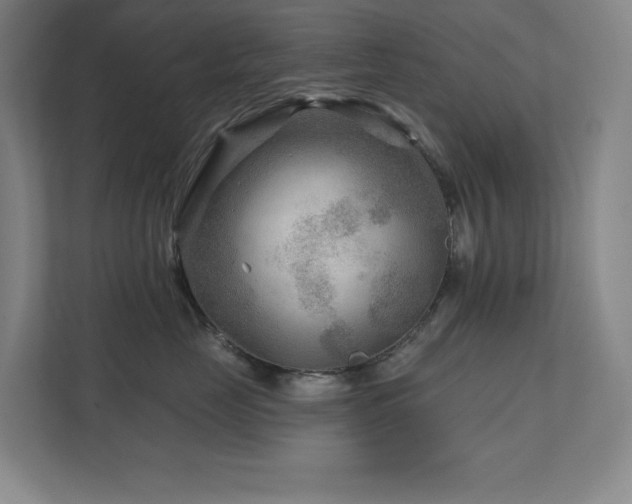 X0000111790669200907231144