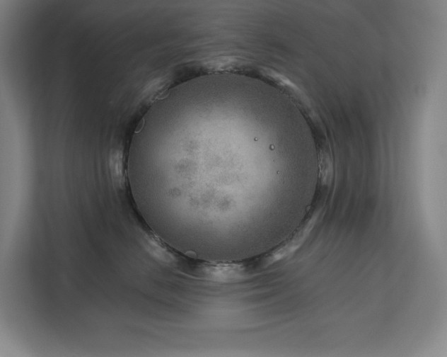 X0000111790670200907231144