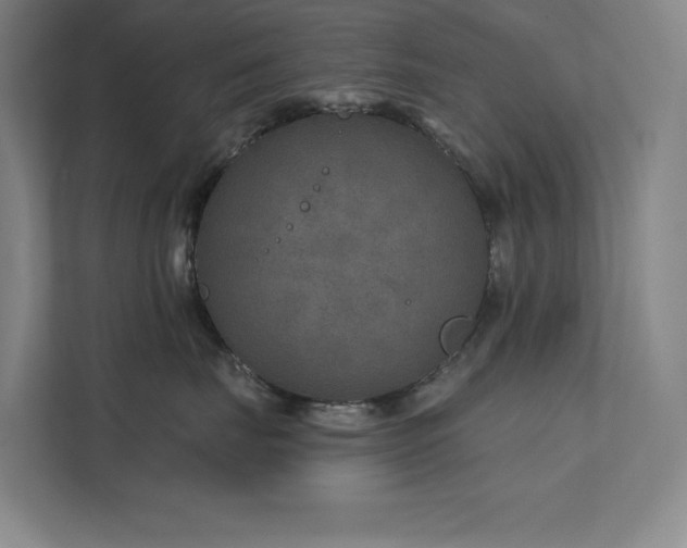 X0000111790671200907231144