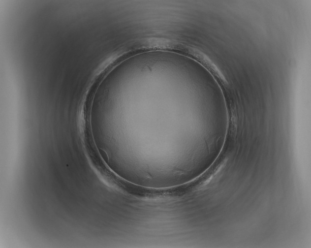 X0000111790674200907231143