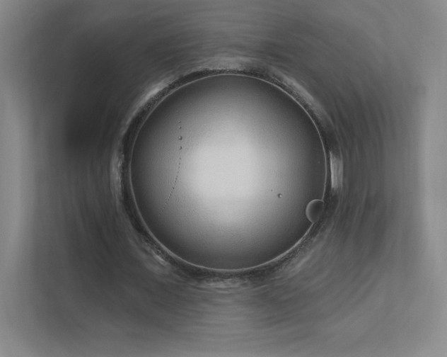 X0000111790675200907231143