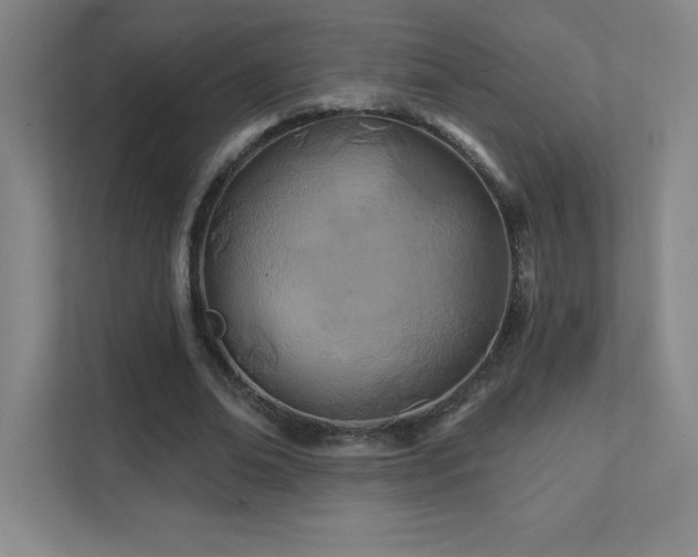 X0000111790678200907231143