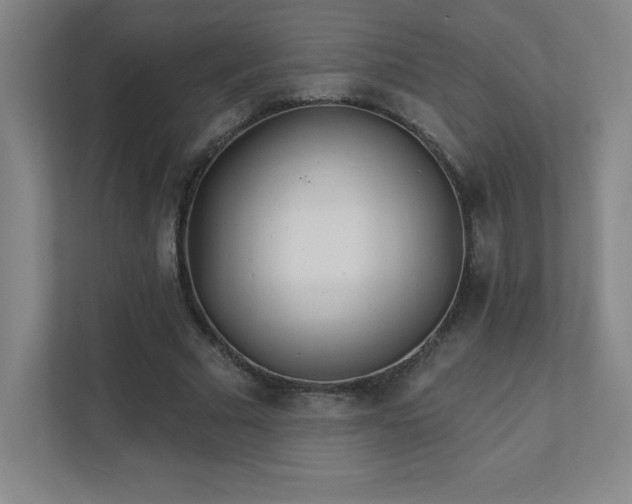 X0000111790681200907231143